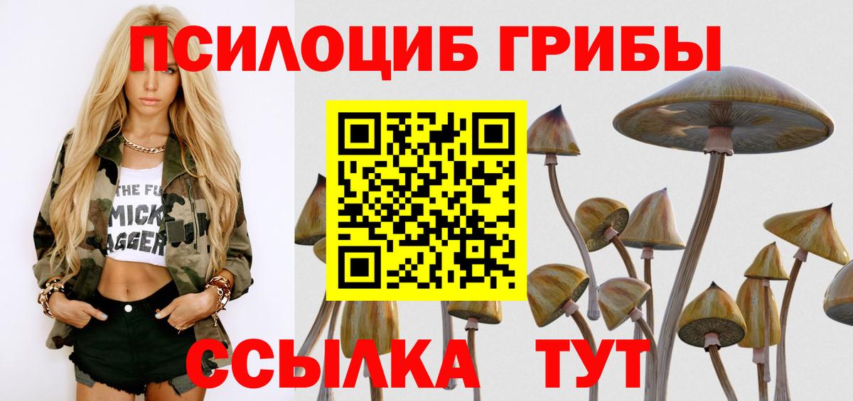 Псилоцибиновые грибы Psilocybine cubensis  Вход с VPN  Советский 